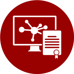 IT & Data Science